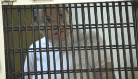 Elba Esther cumple un año en la cárcel... con privilegios