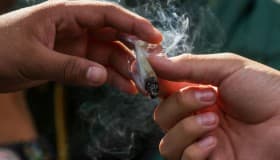 Academia Mexicana de Ciencias le entra al debate sobre la mariguana