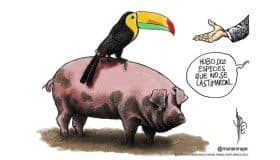 "Sobrevivientes" en Tajamar (cartón de Rapé)