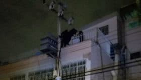 Policías capitalinos evitan suicidio de una mujer en la delegación Cuauhtémoc