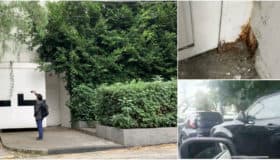 ¿Volverá Peña Nieto a la casa blanca de Las Lomas?