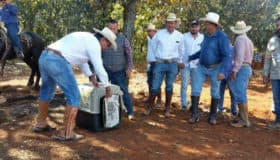 Regresan a su hábitat 400 animales rescatados en Jalisco (Fotos y videos)