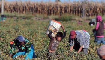 Esclavitud contemporánea atrapa a 40 millones de personas en el mundo | Fotos