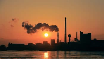 El cambio climático puede haber impulsado la aparición del SARS-CoV-2