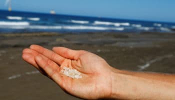 Escamas de pintura, nueva amenaza ambiental para océanos | Video