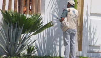 Si no se puede leer, no se puede cambiar: México y el trabajo estadístico sobre temas de género