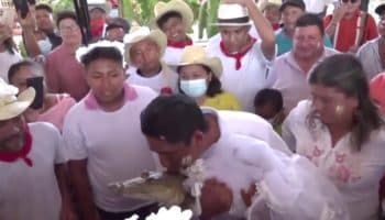 Como parte de ritual ancestral, alcalde de comunidad en Oaxaca se casa... con un caimán