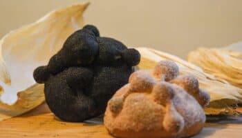 El otoño y el pan de muerto #Niñonautas con Kirén Miret