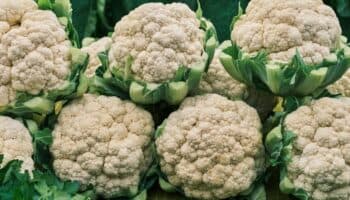 ¿Qué beneficios te da comer coliflor?