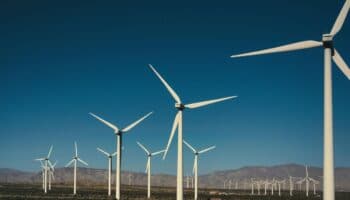 México planteará en la COP29 elevar el uso de energías renovables: Gustavo Alanís | Video