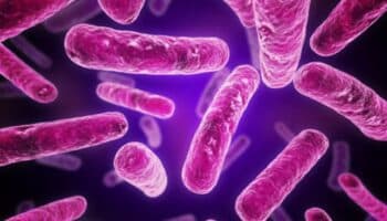 Conan, la bacteria que soporta la radiación miles de veces superior a la que mataría a un humano