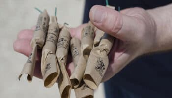 Resultan heridas 40 personas por lanzamiento de pirotecnia en estadio hindú | Video