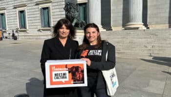 Piden que la tauromaquia deje de ser patrimonio cultural en España | Video