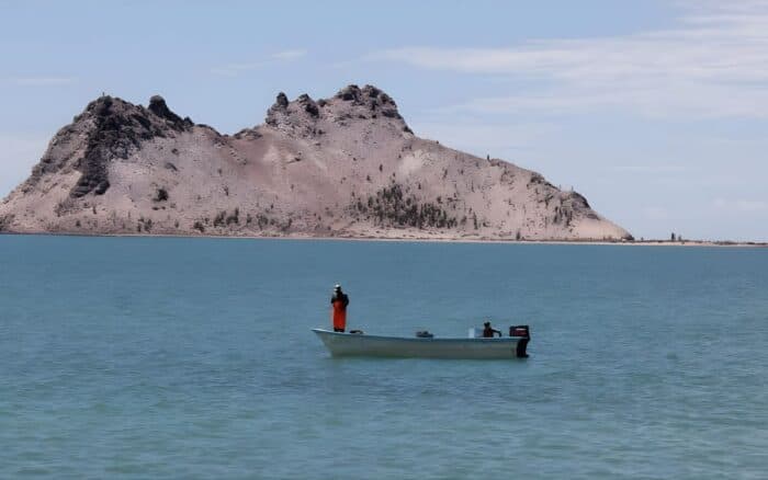 Impugnadas y anuladas: ¿qué está pasando con las sanciones emitidas por Conapesca en México?