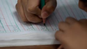 En presupuesto para educación hubo aumento del 0.1% con relación a 2024: Mexicanos Primero