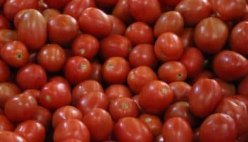 ¿Qué es el dumping? Razón detrás de la sanción de EU a tomates mexicanos