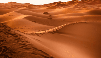 Polvo del desierto puede acelerar el deshielo: NASA investigará su impacto climático