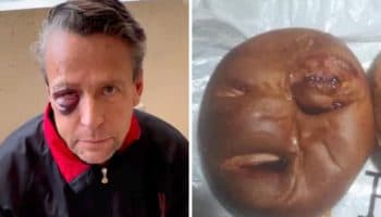 Lanzan pan de Alfredo Adame, inspirado en golpiza que recibió; el actor reacciona