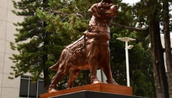 Rinde Marina homenaje a Frida, la perrita rescatista