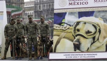 Rinden homenaje a Frida, la perrita, durante el desfile de la Revolución