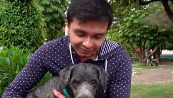 Joven y su perrito, sobrevivientes del accidente carretero en Oaxaca