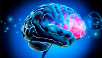 El Cerebro #Niñonautas con Kirén Miret