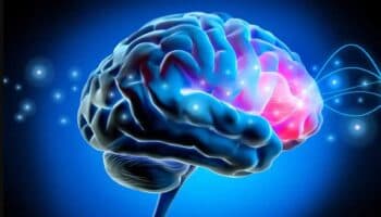 El Cerebro #Niñonautas con Kirén Miret