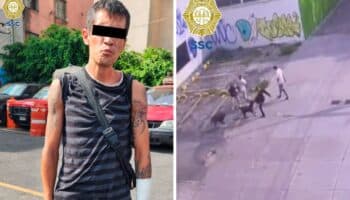 Video | Asaltante mata a perro que defendía a su dueño; policía lo detiene