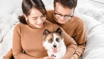 Morena propone incorporar a los animales de compañía al Registro Civil