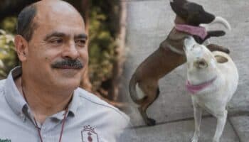 Alcalde que mató a Buba y Canela libra prisión tras lograr acuerdo de reparación de daño