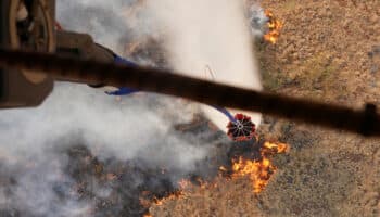 Suman 36 personas muertas en los incendios de Hawái