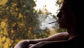 Política de drogas en México no puede limitarse a la prohibición: UNAM