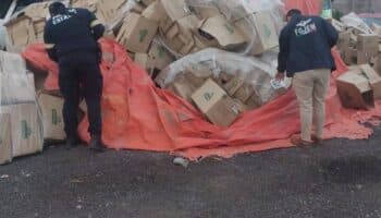 Recuperan en Ecatepec más de 700 cajas de Sabritas robadas en CDMX