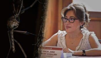 Secretaría de Salud de Oaxaca acepta que usó insecticida caducado contra dengue y zika