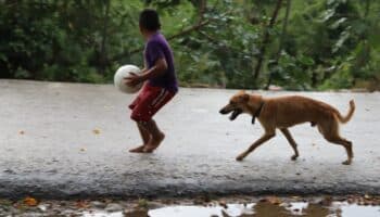 Animales que juegan fútbol #Niñonautas con Kirén Miret