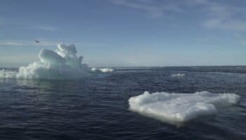 Hielo de Antártida toca un mínimo histórico y alerta por cambio climático