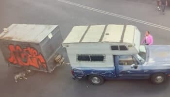 Arrastraba un perrito atado a un remolque y ya fue detenido | Imágenes sensibles