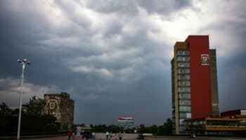 UNAM rechaza presencia de chinches en sus instalaciones