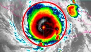Huracanes como 'Otis' serán más frecuentes y más intensos: WWF | Video