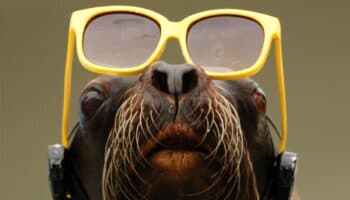 ¿Verás el eclipse solar? Esto NO debes hacer