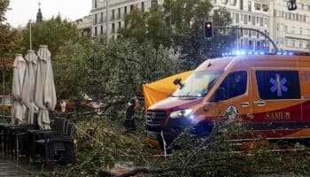 Tres muertos, cortes de luz y caos en el transporte por una potente borrasca en Europa