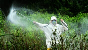 Rechazan propuesta de posponer prohibición del uso de glifosato