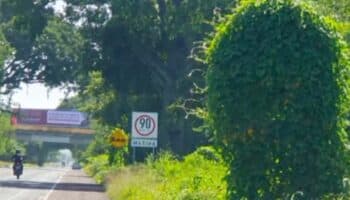 ¿Cómo afectará a las afores que Guerrero recuperara la concesión del Viaducto La Venta-Punta Diamante? Esto dice Fibra Orión | Video
