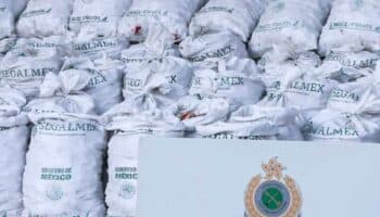 Video | Segalmex se deslinda de metanfetamina oculta en conchas