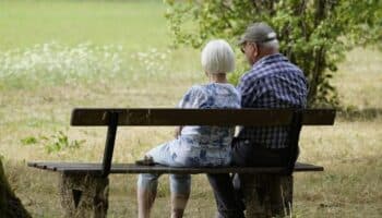 Alerta Consejo Ciudadano CDMX sobre aumento de fraudes inmobiliarios