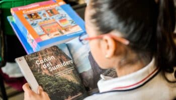 Resultados de PISA, 'solo la punta del iceberg' de problemas educativos: Enseña por México | Video