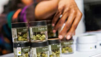 NY dará cerca de 1,500 licencias para negocios de marihuana