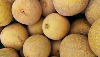 Canadá: Mueren 5 personas por salmonella vinculada a melones de México