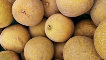 Cierran temporalmente procesadora de Sonora vinculada con melones contaminados con salmonella