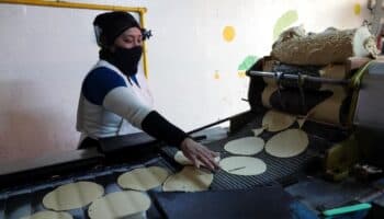 No aumentará precio de harina de maíz en 2024: AMLO